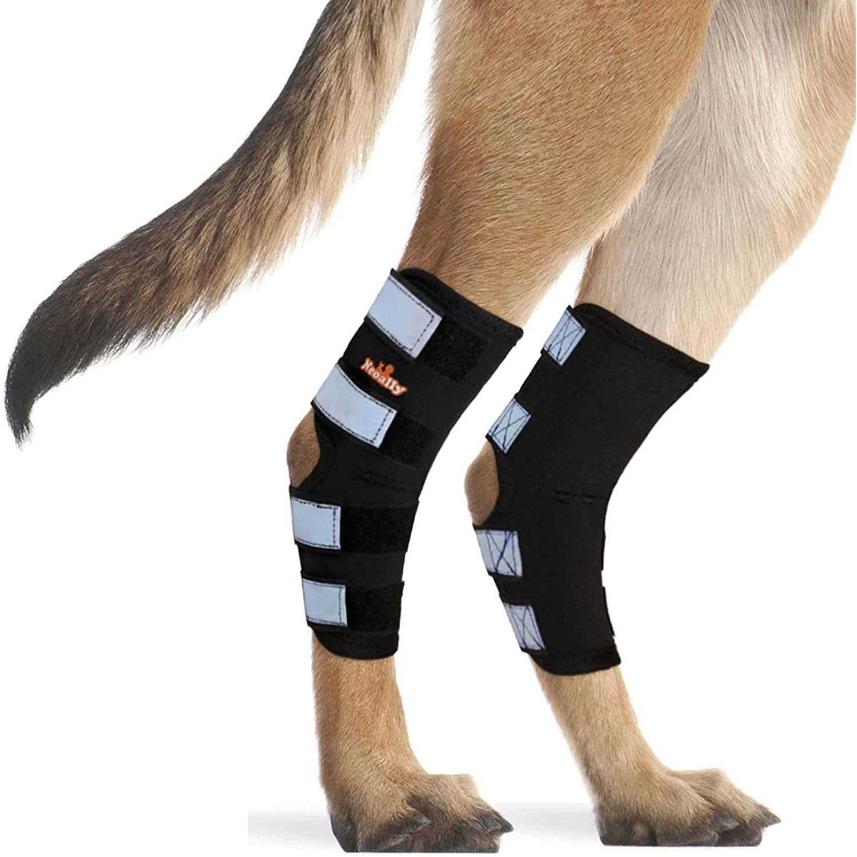 Dog Hind Leg Brace with Reflective Straps W57552
