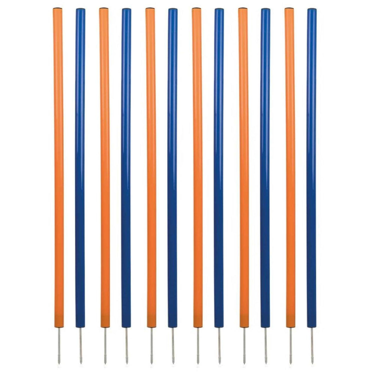 Dog Training Poles C12015