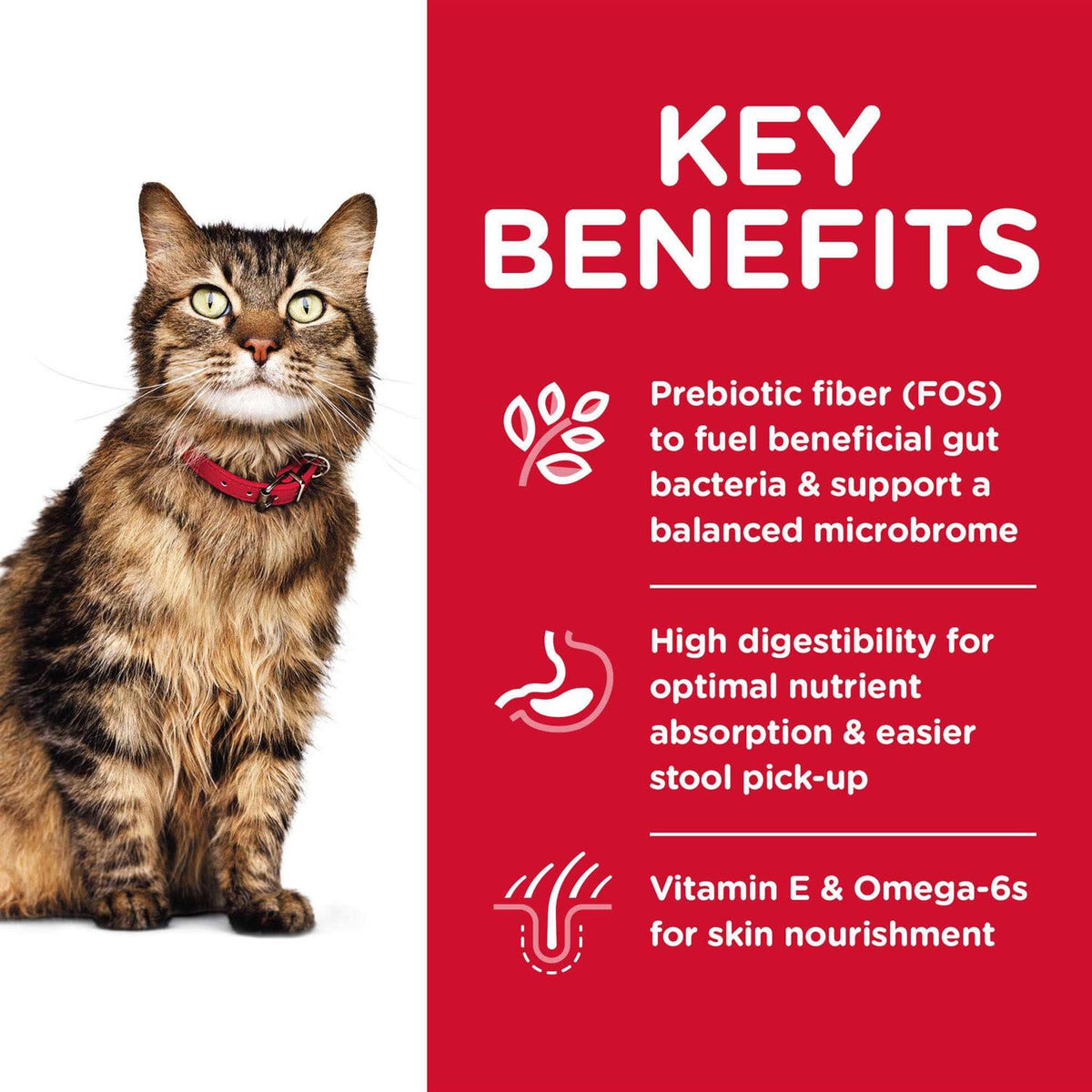 Sensitive Stomach and Skin Adult Dry Cat Food O89320