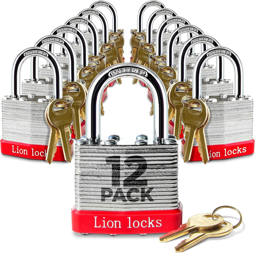 48 Pack Keyed-Alike Padlocks with 2” Long Shackle H596