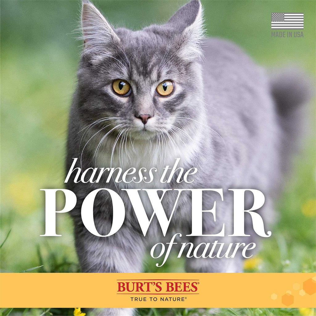 Waterless Cat Shampoo P7392