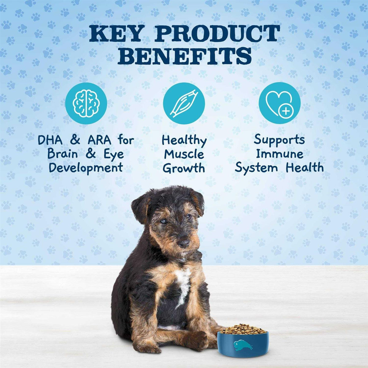Chicken and Brown Rice Puppy Dry Dog Food C216