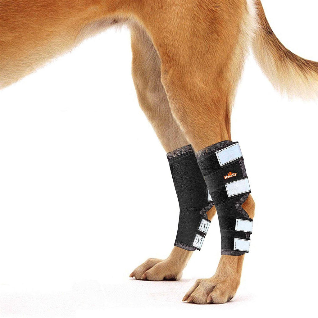 Dog Hind Leg Brace with Reflective Straps W57552