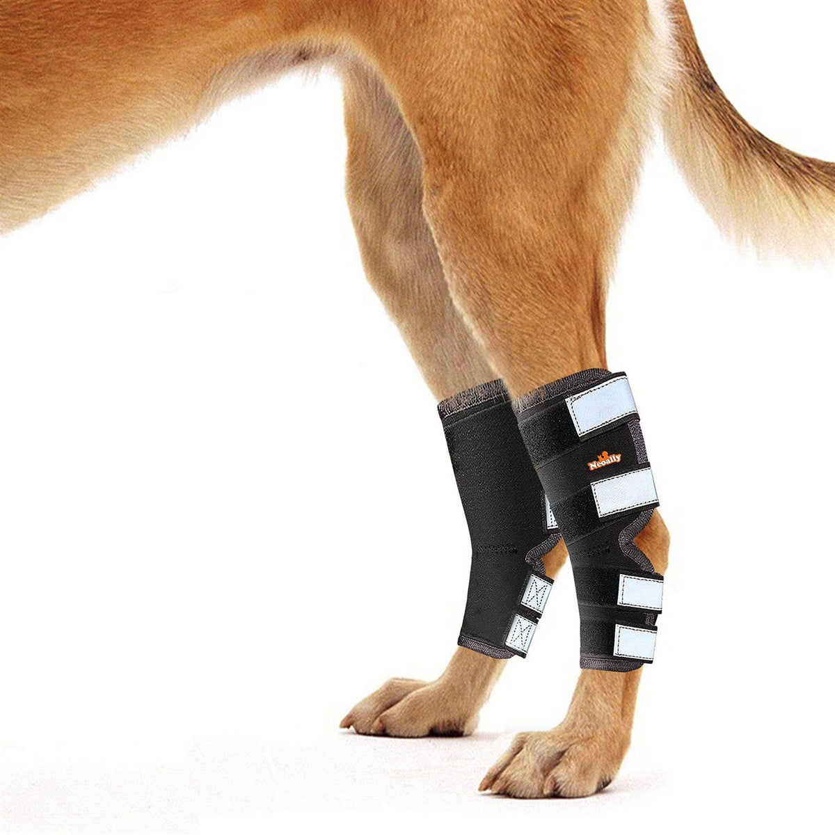 Dog Hind Leg Brace with Reflective Straps W57552