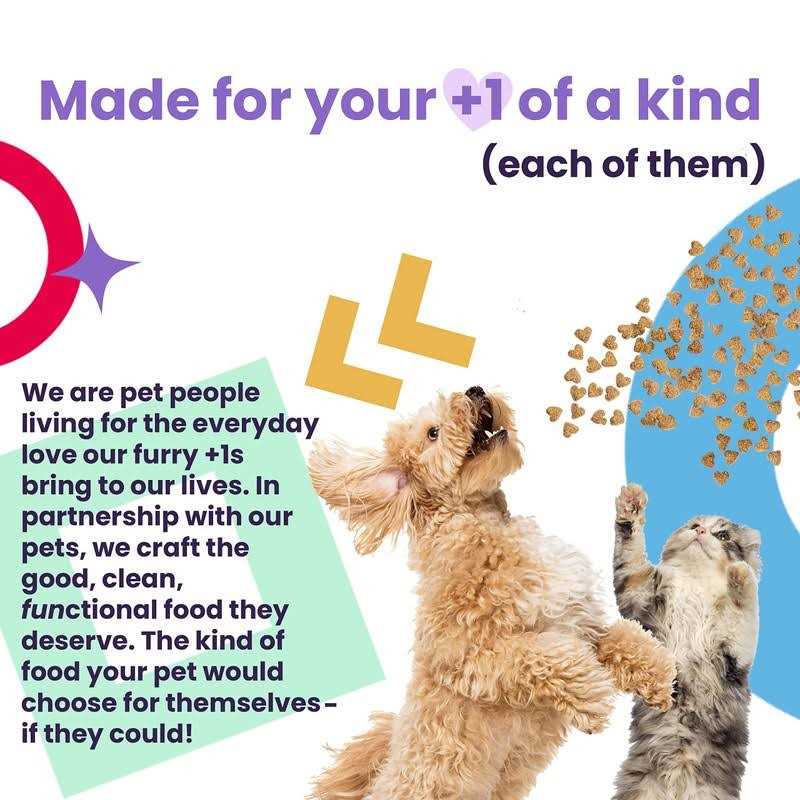 12ct Variety Pack Cat Food U639