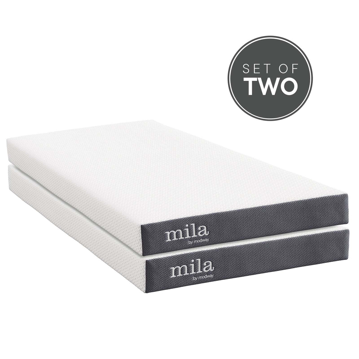 Twin Foam Mattress Set of 2 B7344