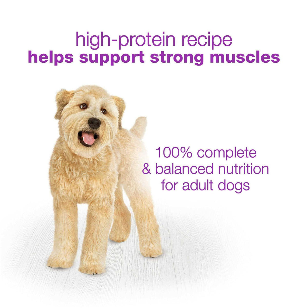 Wet Dog Food U5268