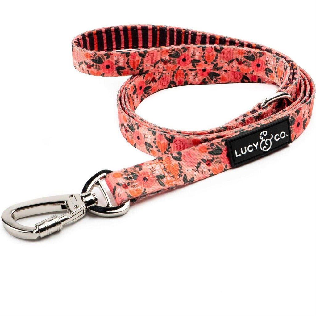 Leash C15556
