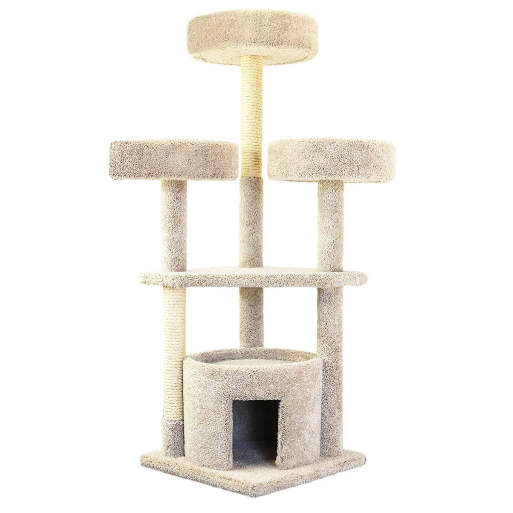 Large Cat House S19127