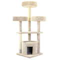 Large Cat House S19127