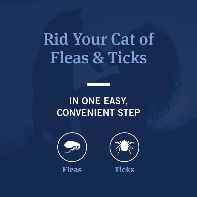 Flea & Tick Shampoo for Cats Coconut Berry Scent C406134