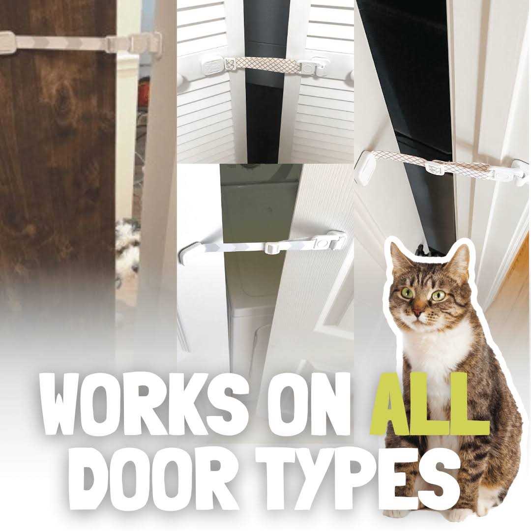 Dog Latch Cat Door I689523