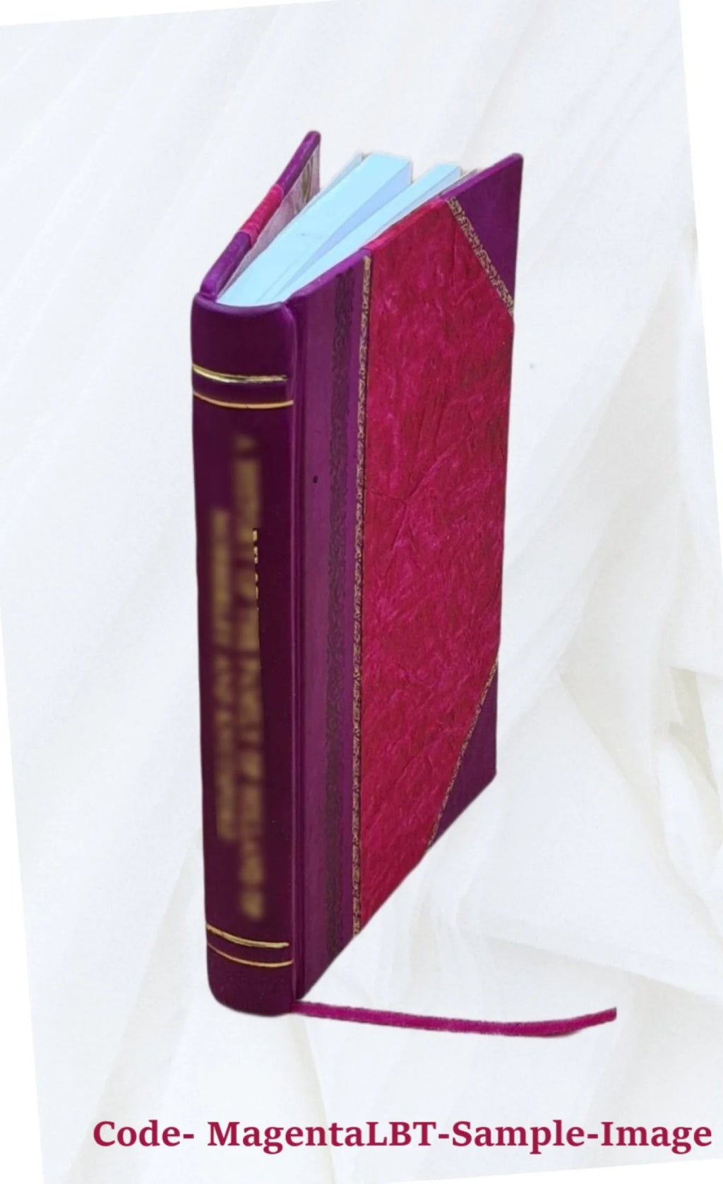Leather Bound Book H595