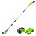 40V Cordless Battery Powered Pole Saw with 2.0 Ah Battery & Charger F25827