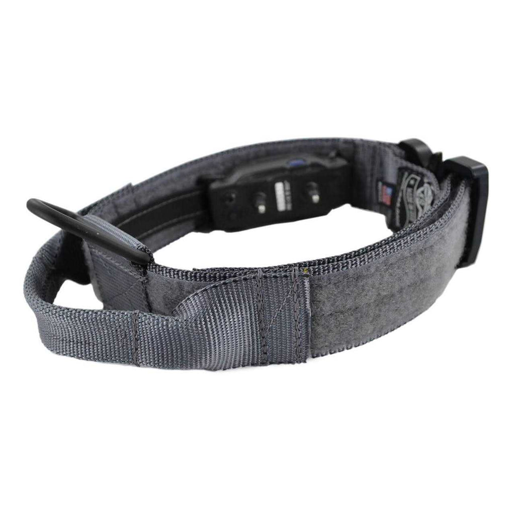 ID Collar Q71999