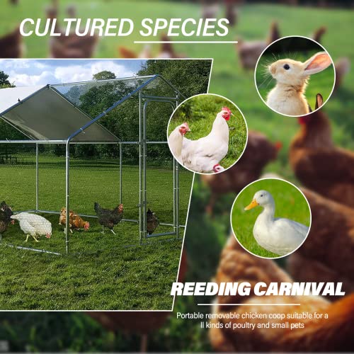 Large Metal Walk-in Chicken Coop with Waterproof Cover W917173