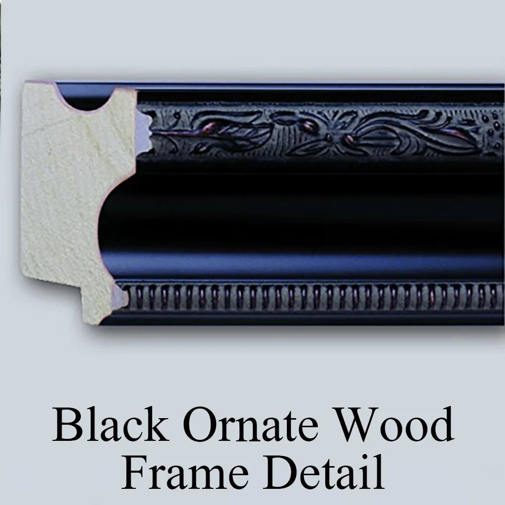 Black Ornate Wood Framed Museum Art Print Q9984