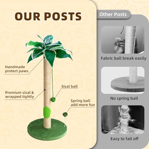Cat Scratching Post with Cat Toy and Interactive Ball Z9973