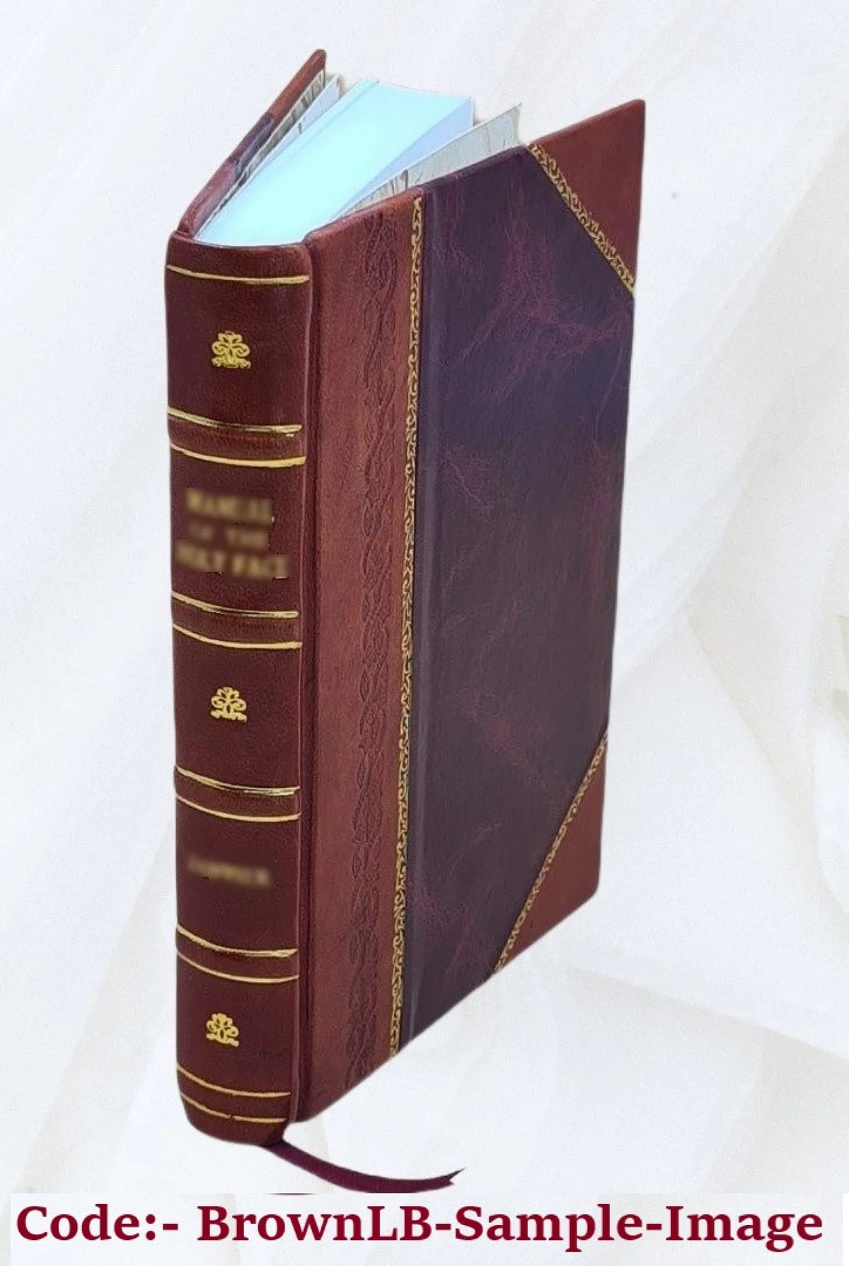Kievo-Pecherskiĭ monastyrʹ kak kulʹturnyĭ t︠s︡entr domongolʹskoĭ Rossīi T3505