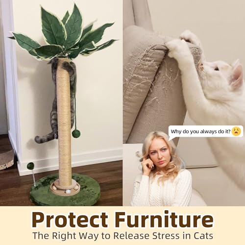 Cat Scratching Post with Cat Toy and Interactive Ball Z9973
