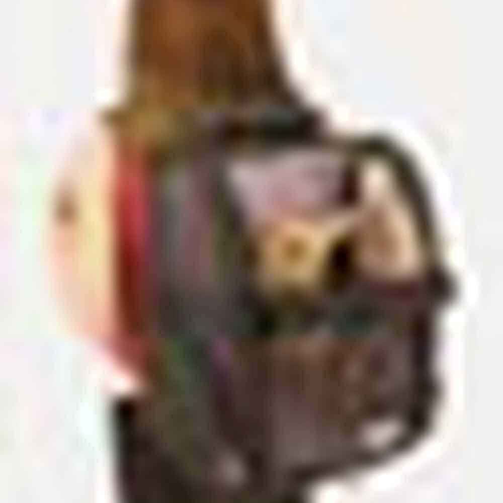 Travel Pet Carrier U182926