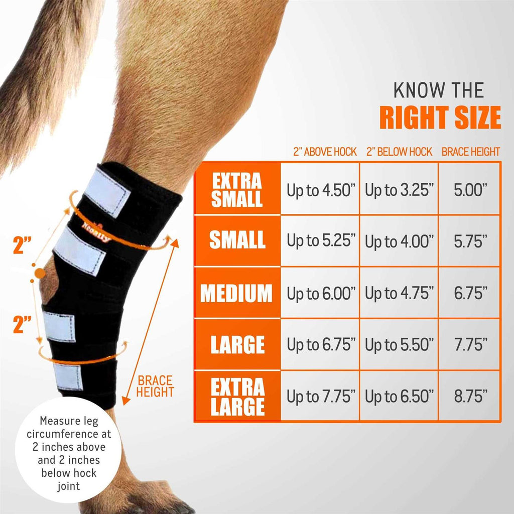 Dog Hind Leg Brace with Reflective Straps W57552