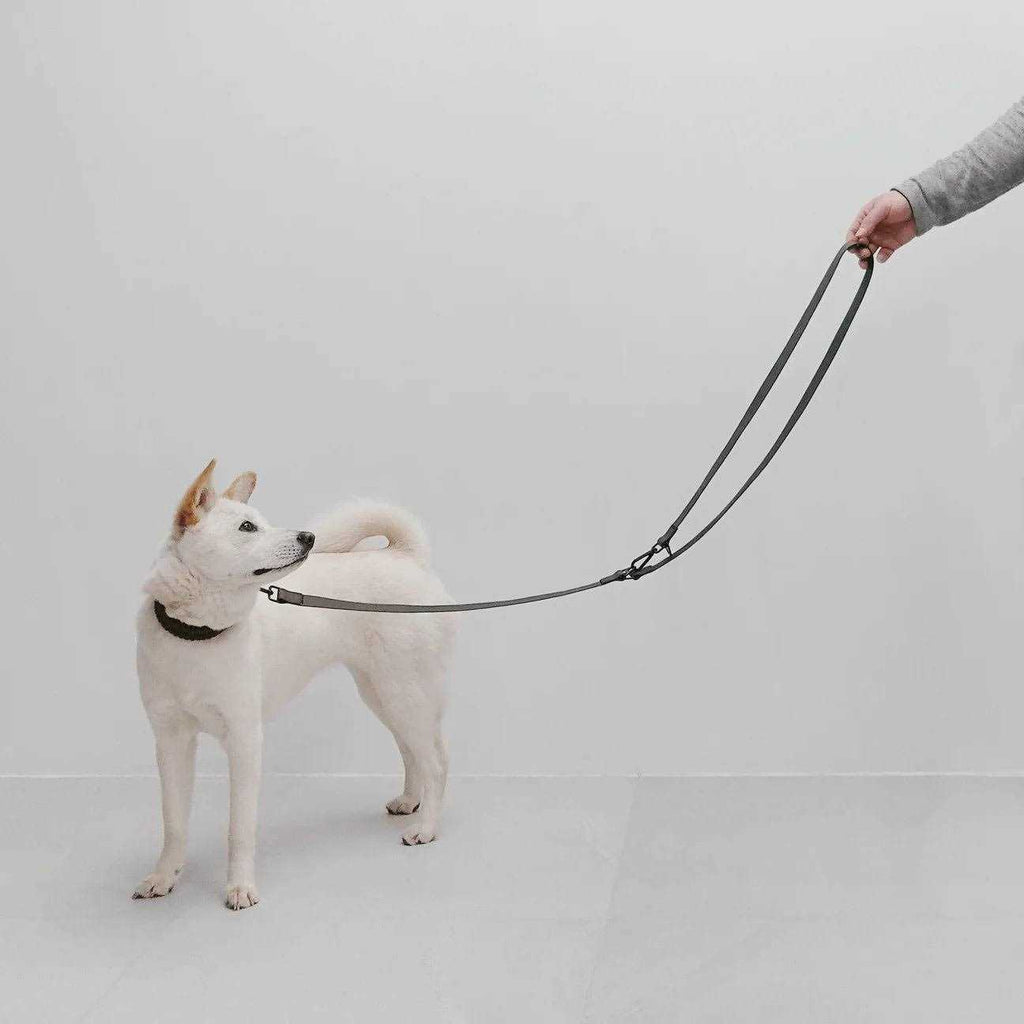Hands Free Long Dog Leash U9016
