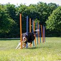Dog Training Poles C12015