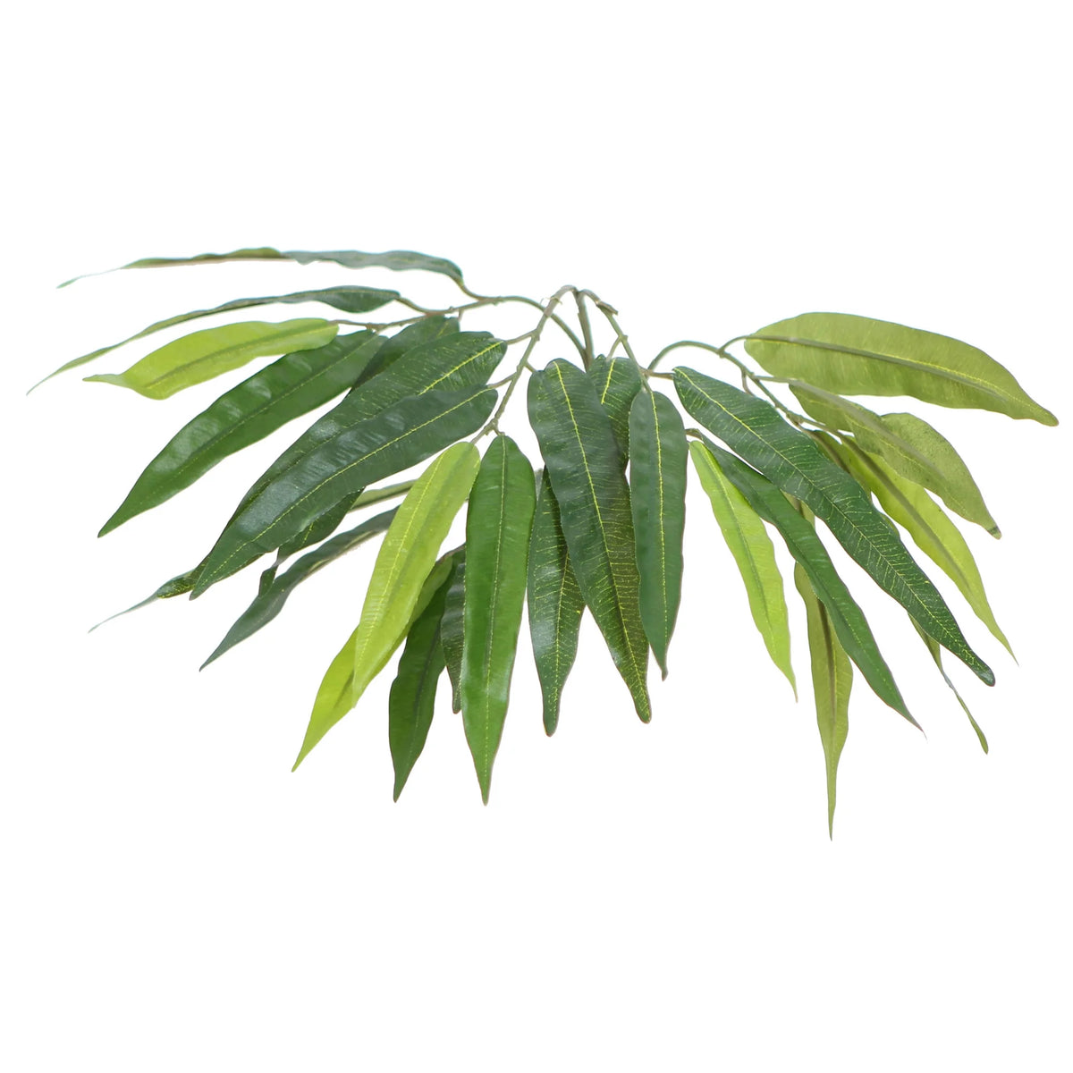 4' Indoor Artificial Mango Tree in Black Plastic Pot G7331