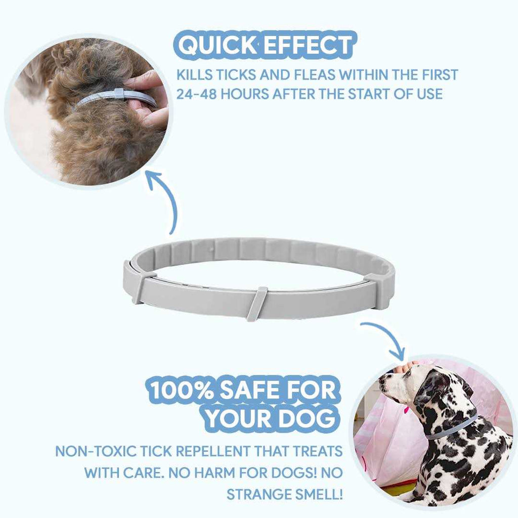 Flea & Tick Repellent Dog Collar U5007