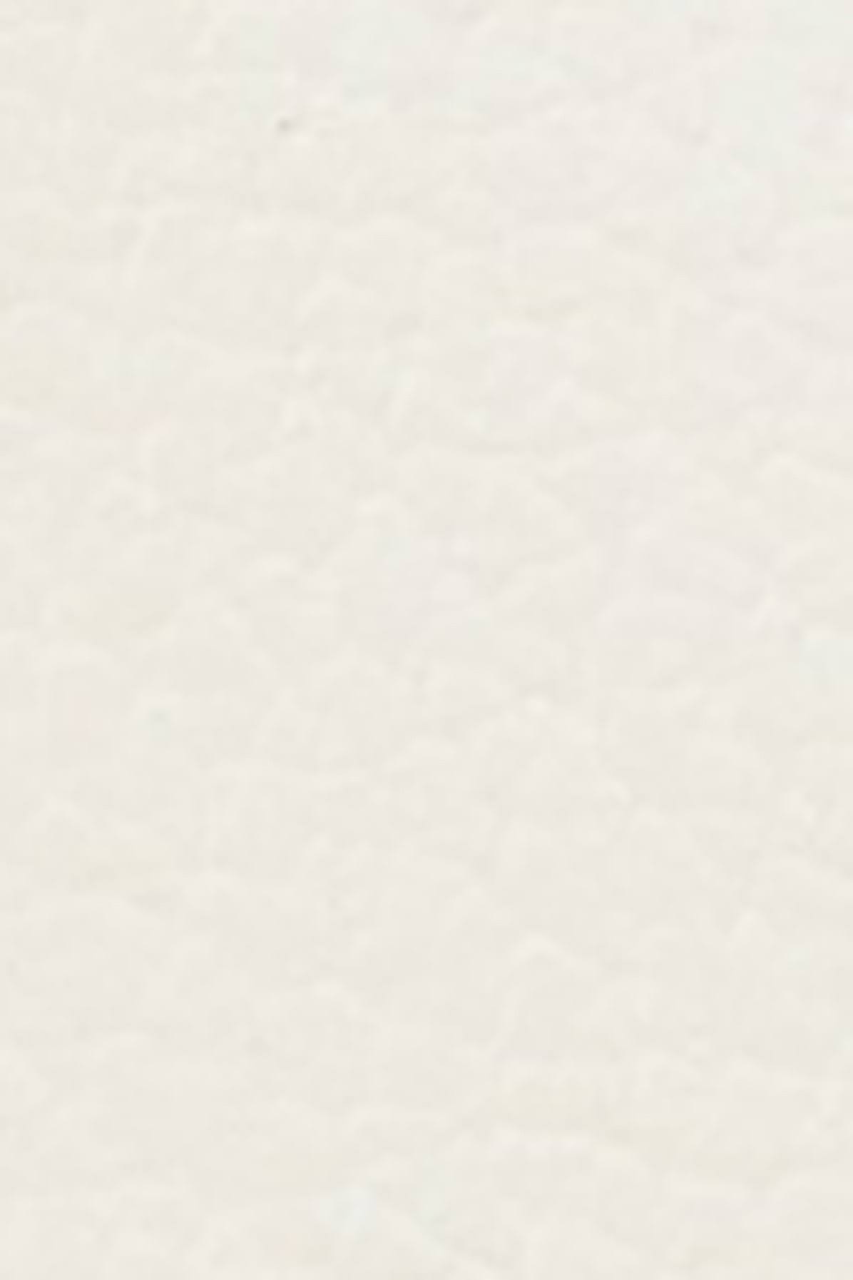 White Black Sneakers E86459