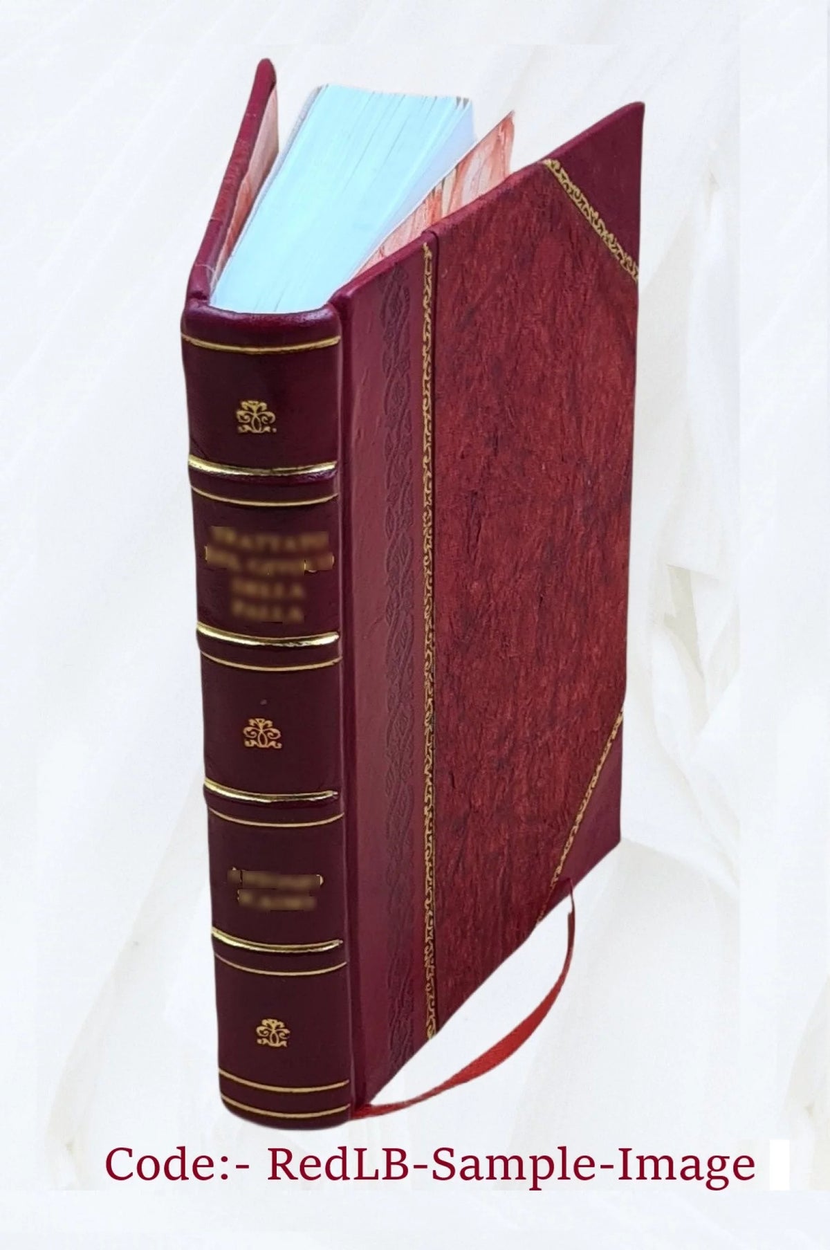 Kievo-Pecherskiĭ monastyrʹ kak kulʹturnyĭ t︠s︡entr domongolʹskoĭ Rossīi T3505
