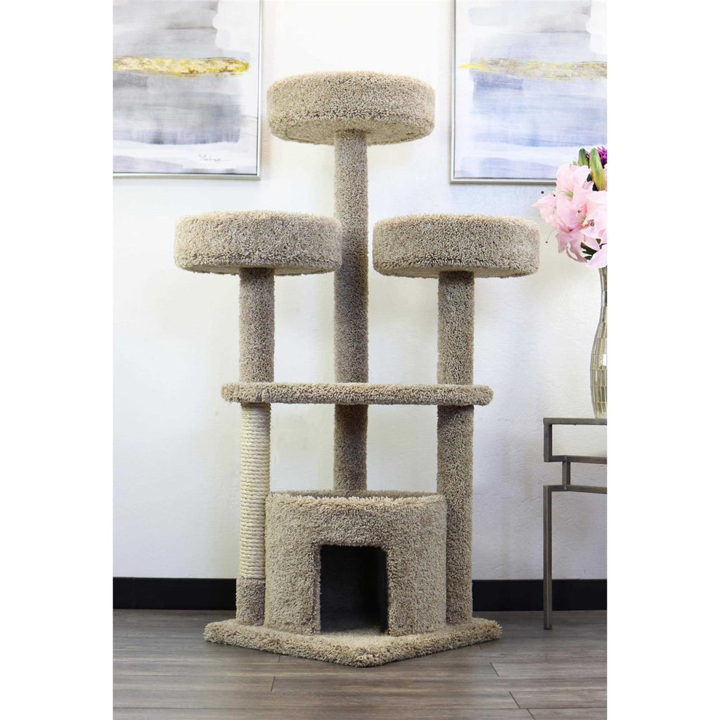 Large Cat House S19127