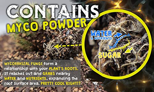 Cactus Potting Mix with Mycorrhizal Fungi 8 Pounds O75867