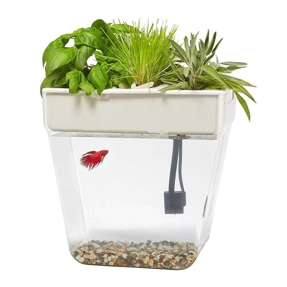 Water Garden X782116