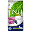 Lamb & Blueberry Grain Free Dry Dog Food C45387
