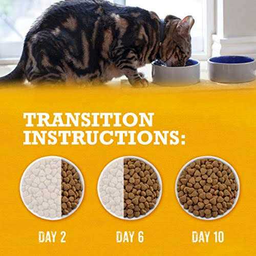 Grain Free White Meat Chicken & Egg Recipe Dry Cat Food F84635