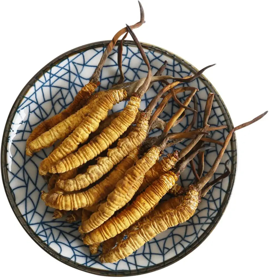 3 Grams Wild Cordyceps Sinensis O9614