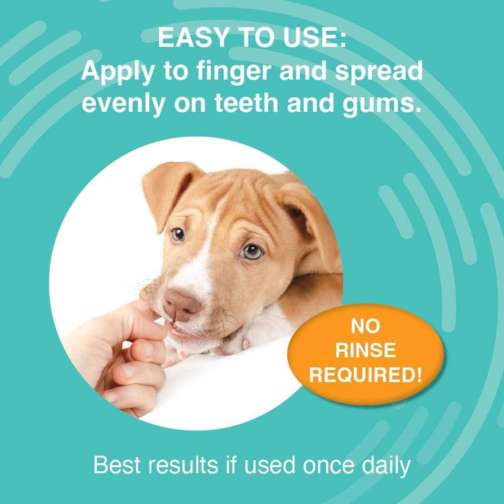 Dental Gel S30328