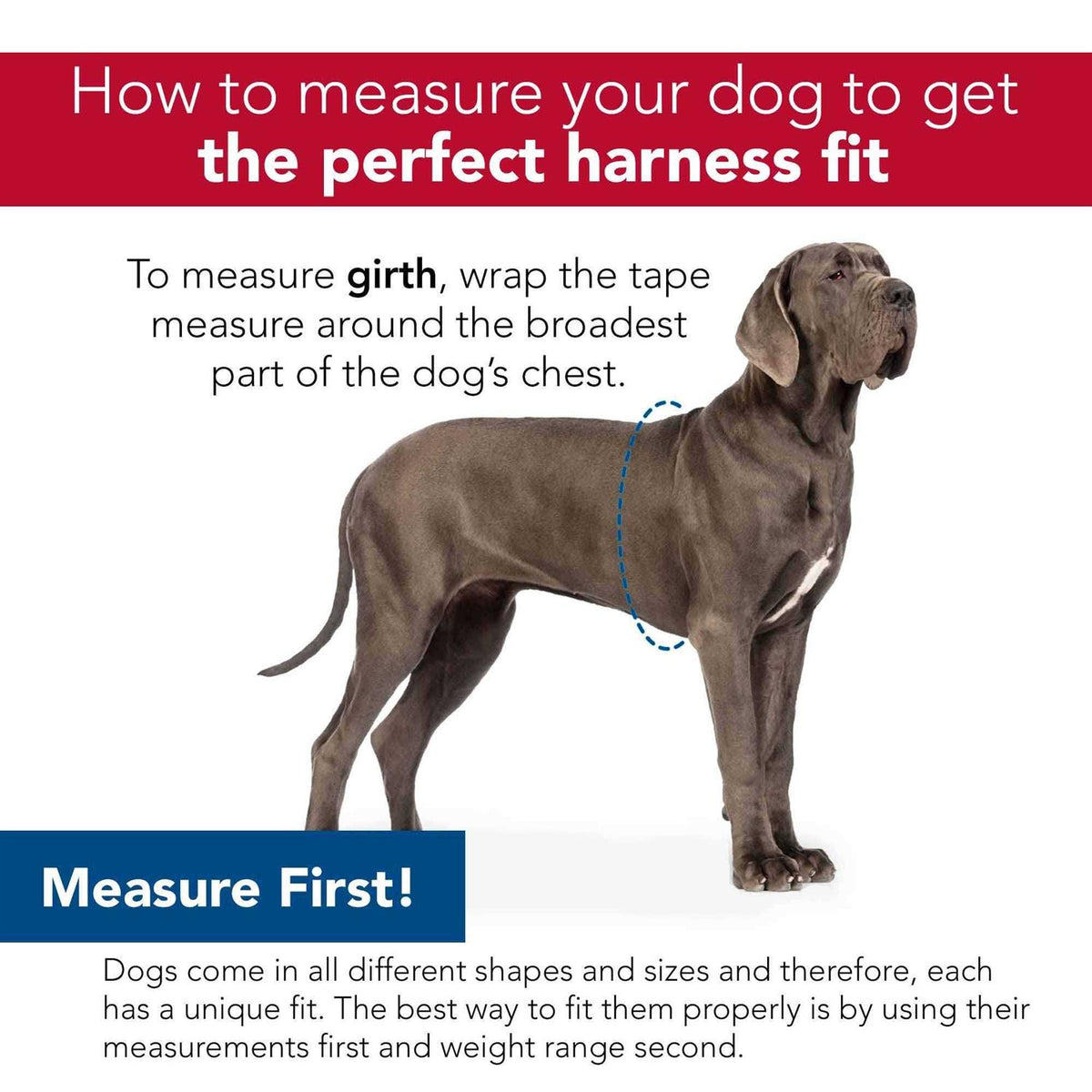 Canvas Dog Harness M9945
