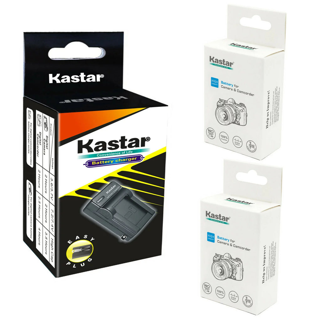2-Pack Battery and AC Wall Charger C6807