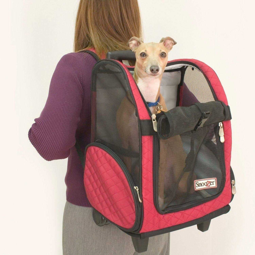 Travel Pet Carrier U182926