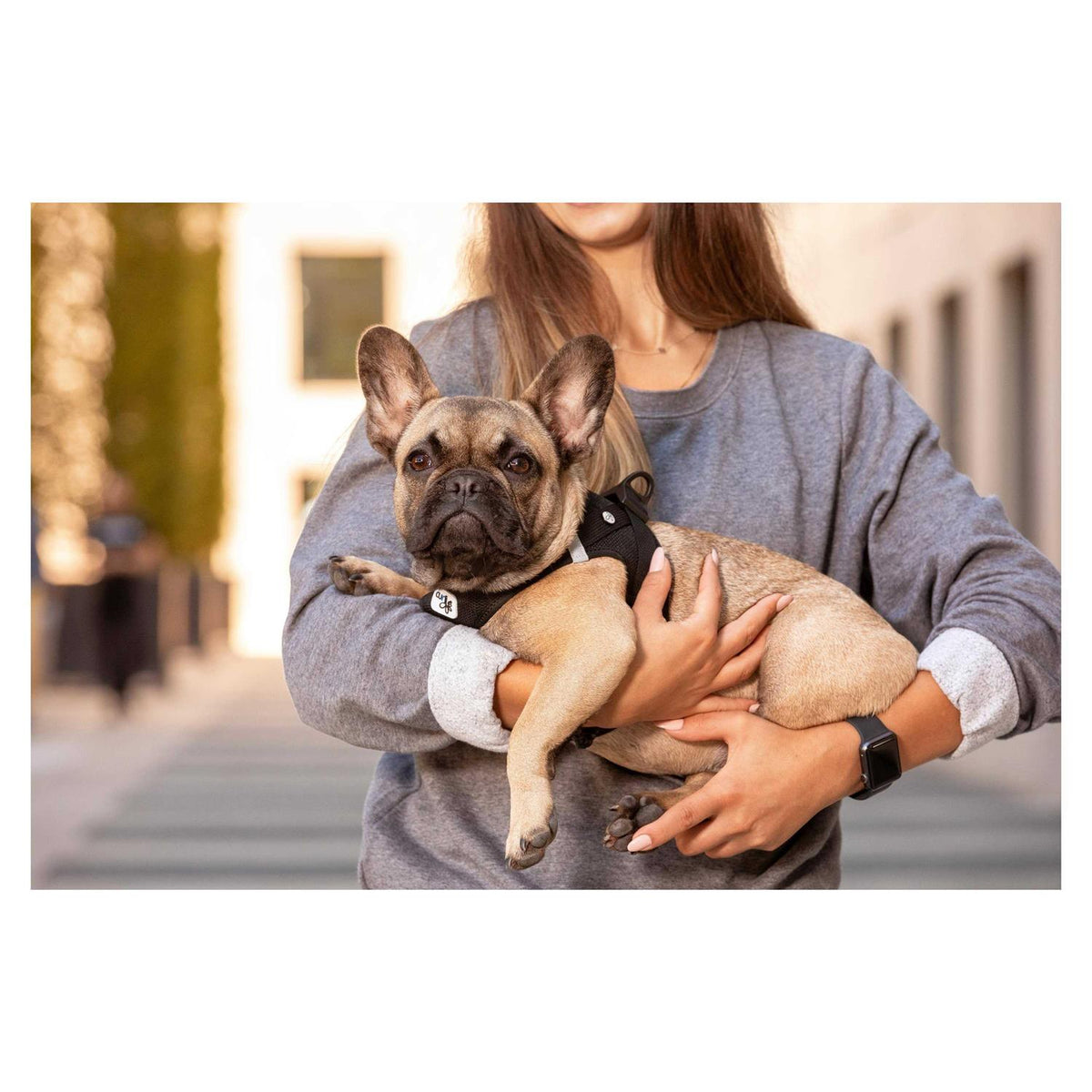 Air-Mesh Dog Harness H6998