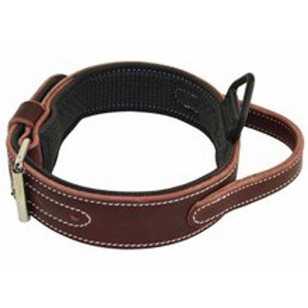 Padded Leather Collar U1057