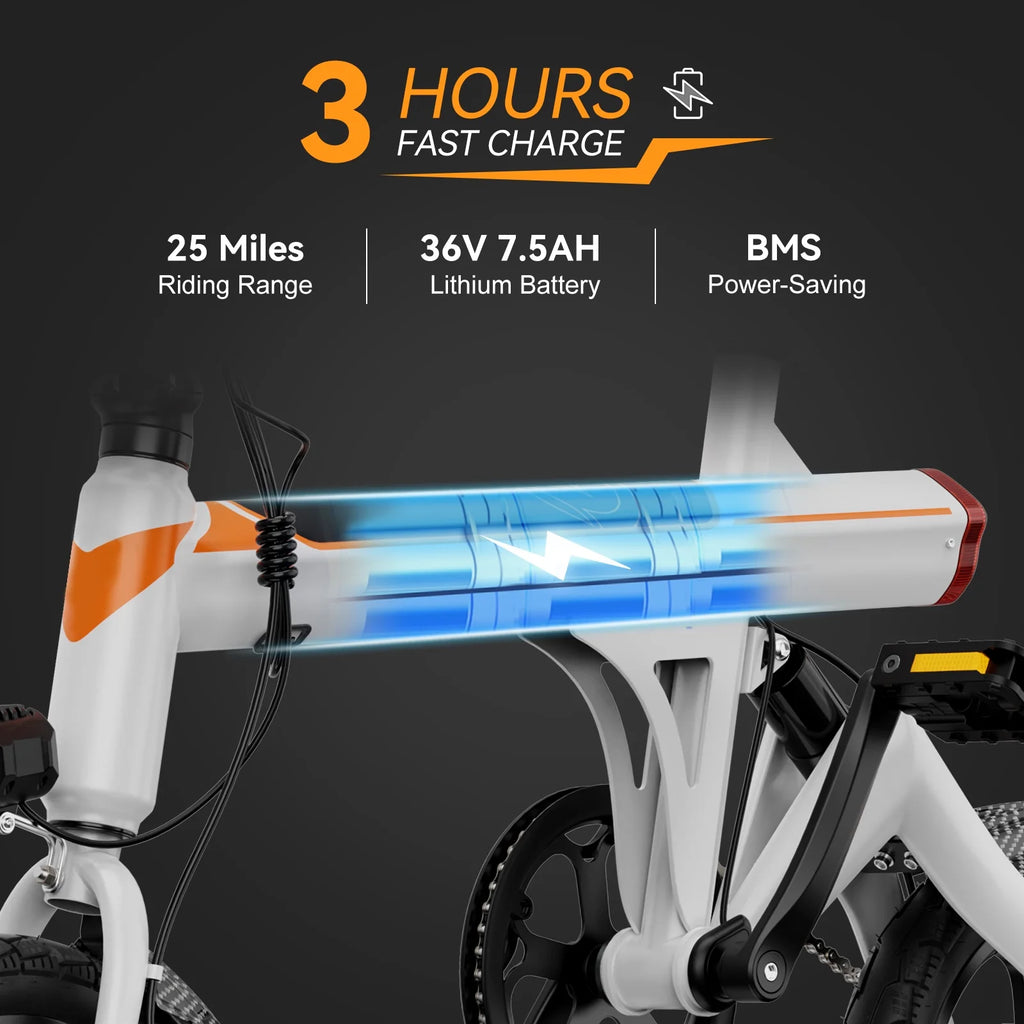 14 Folding Electric Bike with 350W Motor A8133