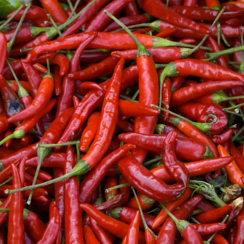 Cayenne P988184