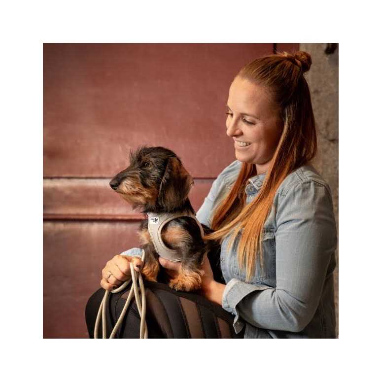 Air-Mesh Dog Harness H6998