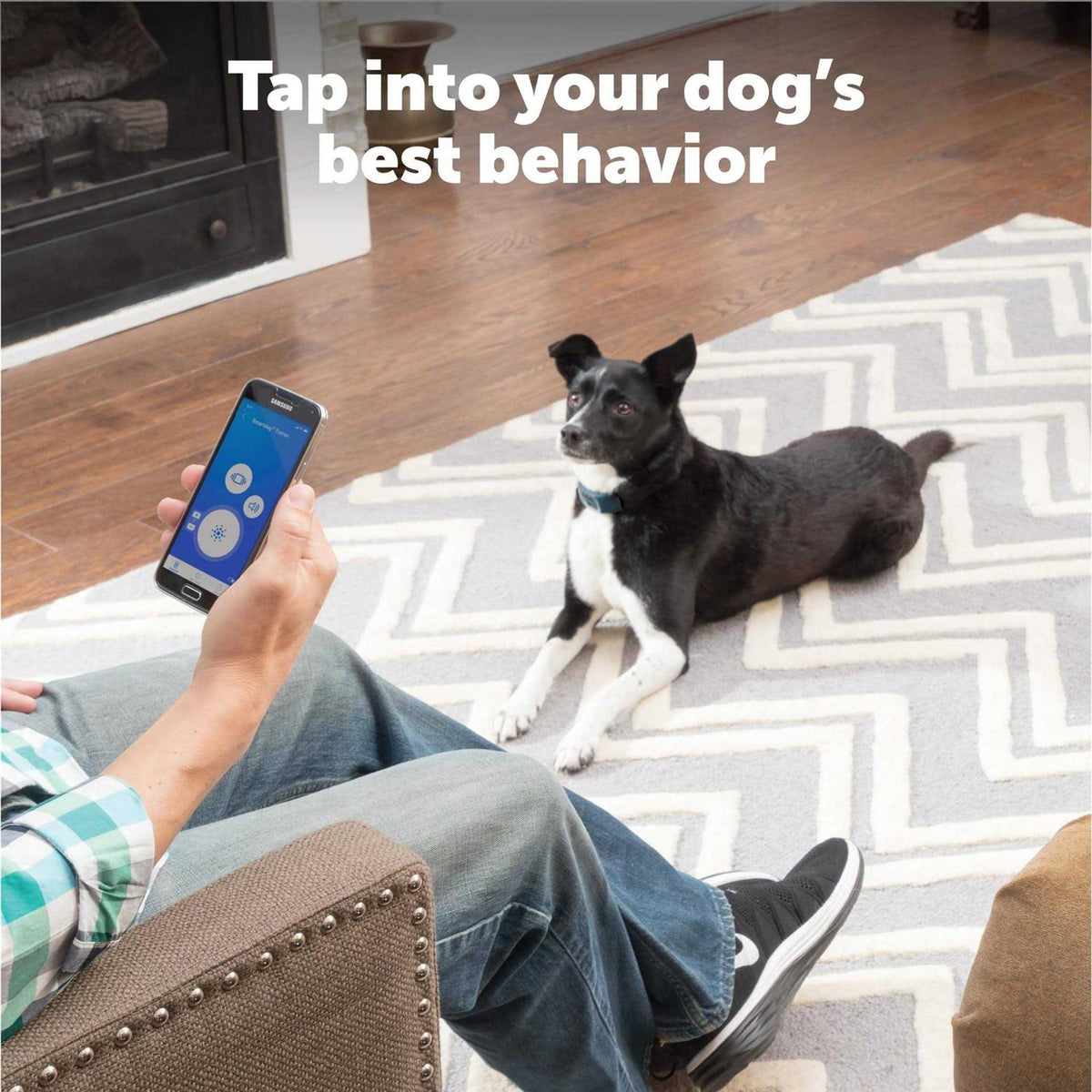 Dog Trainer H93523