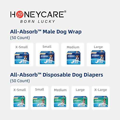 Male Dog Wrap C883258