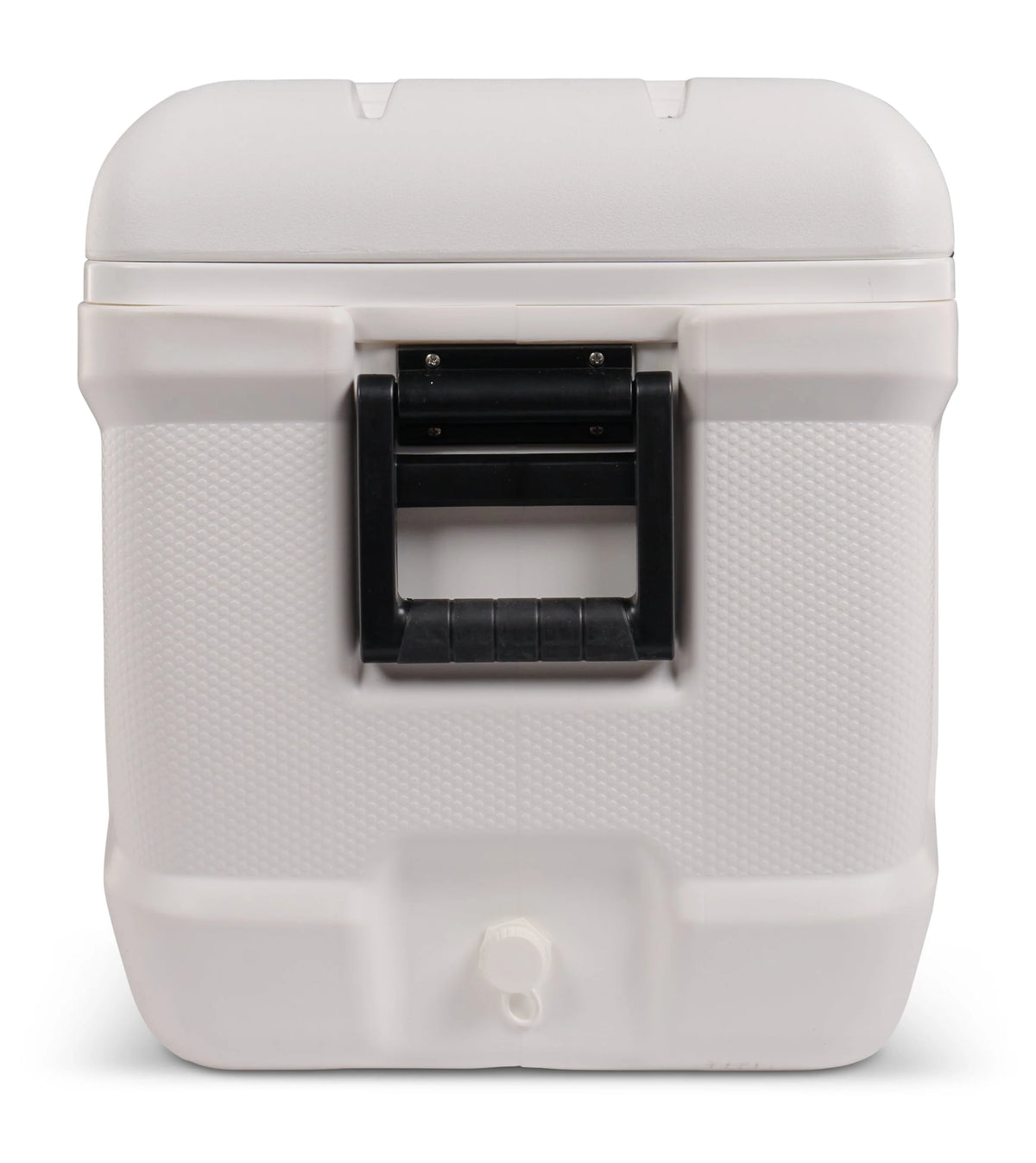 150 QT White Hard Side Cooler D87909